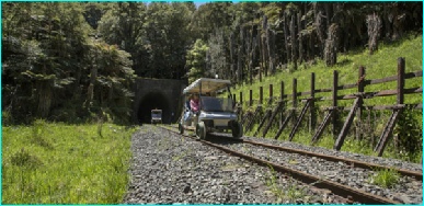 Forgotten World Highway Taranaki