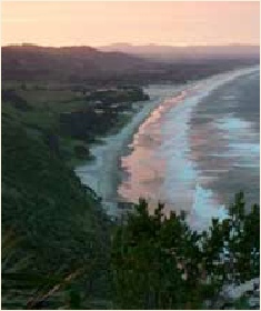 Pakiri Beach