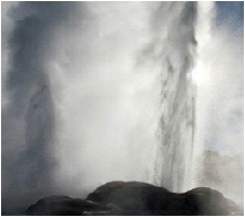 Geyser in Rotorua